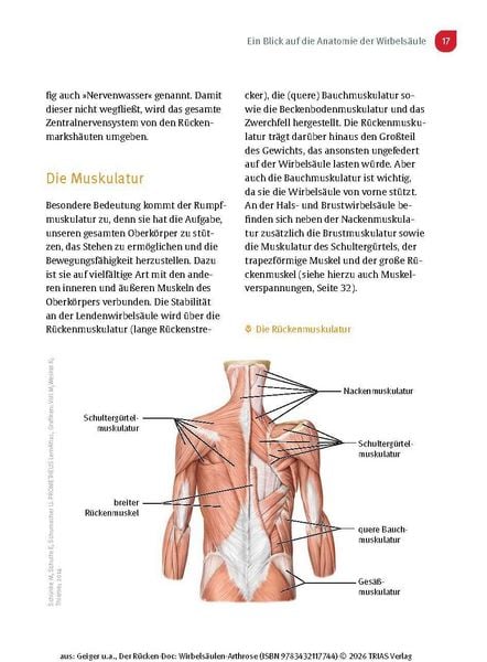 Produktbild: Der R&uuml;cken-Doc: Wirbels&auml;ulen-Arthrose
