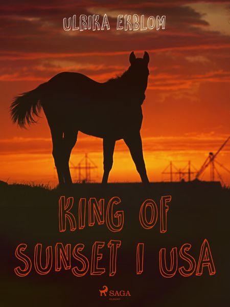 Produktbild: King of Sunset i USA