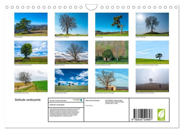 Produktbild: Solitude verdoyante (Calendrier mural 2026 DIN A4 vertical), CALVENDO calendrier mensuel