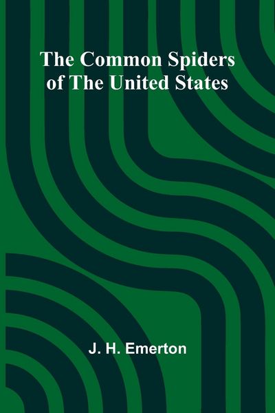 Produktbild: The Common Spiders Of The United States