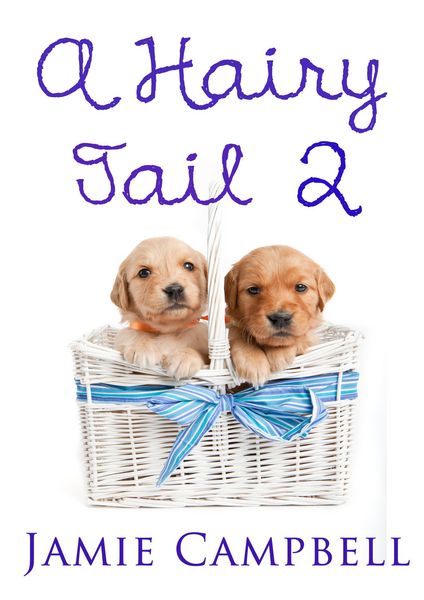 Produktbild: A Hairy Tail 2
