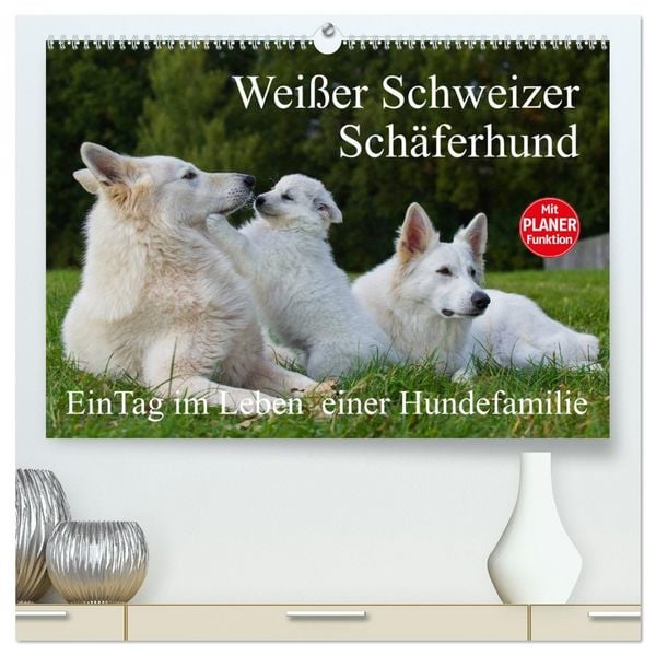 Produktbild: Wei&szlig;er Schweizer Sch&auml;ferhund - Ein Tag im Leben einer Hundefamilie (hochwertiger Premium Wandkalender 2026 DIN A2 quer), Kunstdruck in Hochglanz