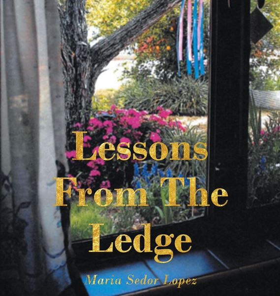 Produktbild: Lessons from the Ledge
