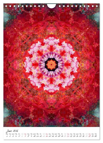 Produktbild: MANDALA COMPOSITIONS (Wall Calendar 2026 DIN A4 portrait), CALVENDO 12 Month Wall Calendar