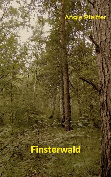 Produktbild: Finsterwald