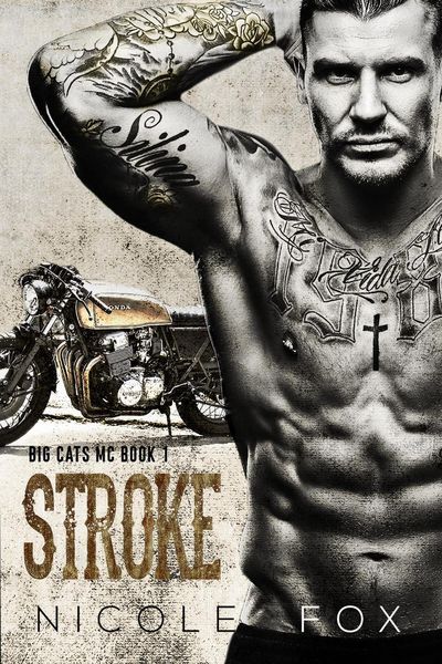 Produktbild: Stroke (Book 1)