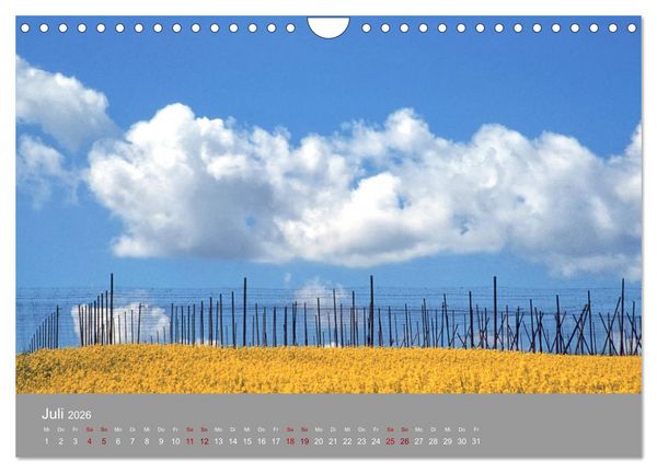 Produktbild: Hallertau (Wandkalender 2026 DIN A4 quer), CALVENDO Monatskalender