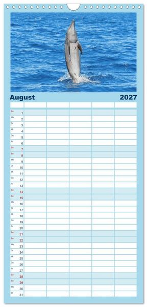 Produktbild: Familienplaner 2027 - Delfine: Elegante Wellenreiter mit 5 Spalten (Wandkalender, 21 x 45 cm) CALVENDO
