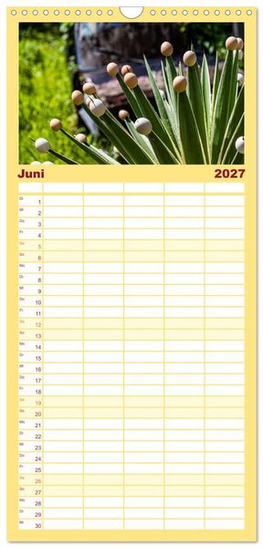 Produktbild: Familienplaner 2027 - Fr&uuml;chte der Karibik mit 5 Spalten (Wandkalender, 21 x 45 cm) CALVENDO