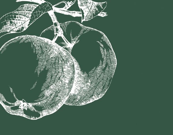 Produktbild: Jeder Tag ist ein Geschenk