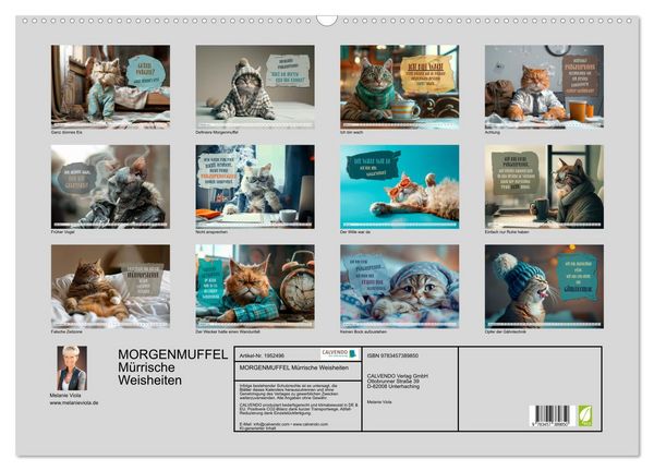 Produktbild: MORGENMUFFEL M&uuml;rrische Weisheiten (Wandkalender 2026 DIN A2 quer), CALVENDO Monatskalender