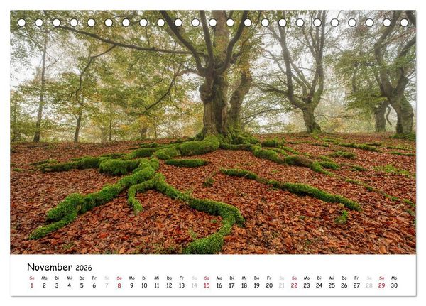 Fotogenes Nordhessen (Tischkalender 2026 DIN A5 quer), CALVENDO Monatskalender