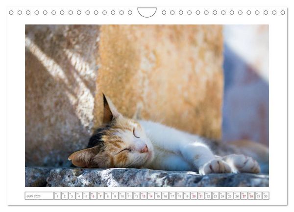 Produktbild: Griechenlands sch&ouml;ne Inseln, Kreta (Wandkalender 2026 DIN A4 quer), CALVENDO Monatskalender