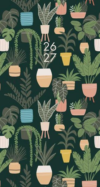 Produktbild: Cactus 2-Year 2026-27 3.5 X 6.5 Monthly Pocket Planner