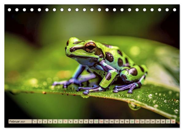 Produktbild: Die buntesten Tiere - Weltweit (Tischkalender 2027 DIN A5 quer), CALVENDO Monatskalender