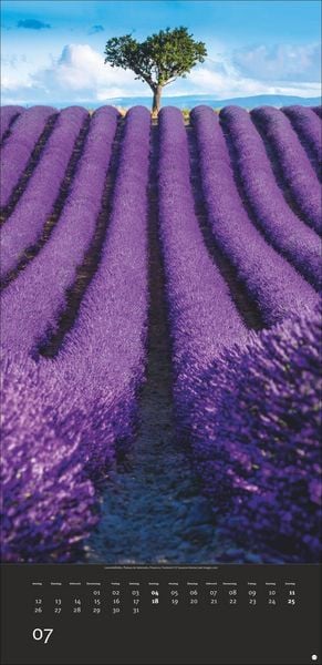 Produktbild: Colourful Nature 2027