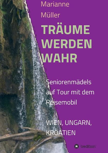 Produktbild: Tr&auml;ume werden wahr