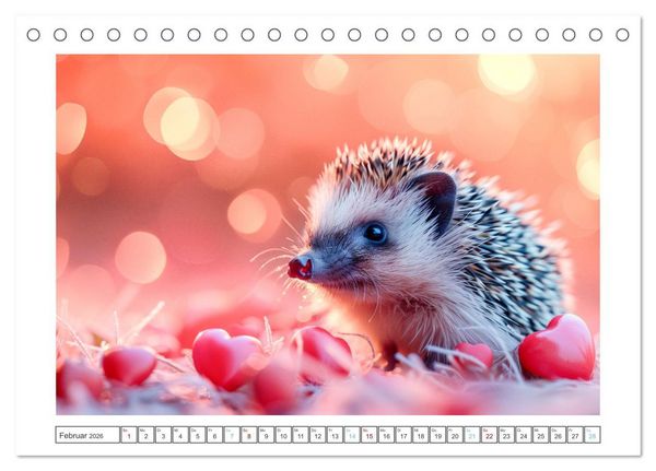 Produktbild: Lustige Igel (Tischkalender 2026 DIN A5 quer), CALVENDO Monatskalender