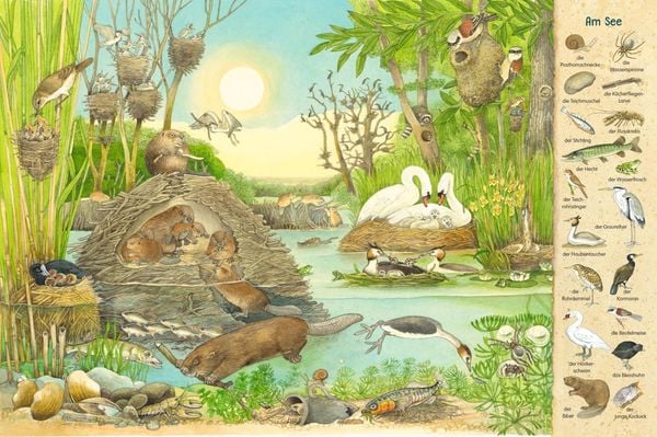 Mein erstes Wimmelbuch: Wo unsere Tiere wohnen