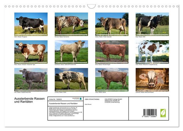 Produktbild: Aussterbende Rassen und Rarit&auml;ten (Wandkalender 2026 DIN A3 quer), CALVENDO Monatskalender