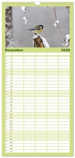 Produktbild: Familienplaner 2026 - V&ouml;gel mit 5 Spalten (Wandkalender, 21 x 45 cm) CALVENDO
