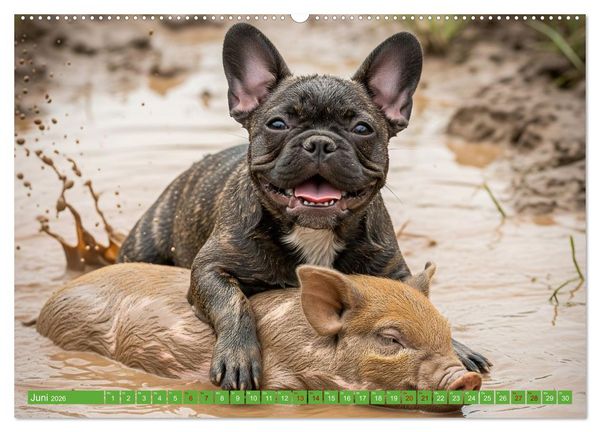 Produktbild: Muddi Buddies &ndash; Freundschaft im Matsch (hochwertiger Premium Wandkalender 2026 DIN A2 quer), Kunstdruck in Hochglanz