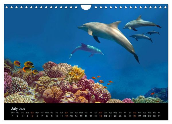 Produktbild: Water Dreams-journey through the sea (Wall Calendar 2026 DIN A4 landscape), CALVENDO 12 Month Wall Calendar