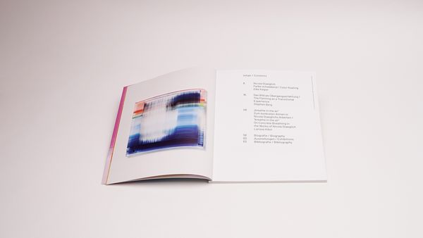 Produktbild: Nicola Staeglich &ndash; Farbe schwebend / Color floating