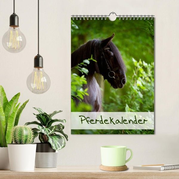 Produktbild: Pferdekalender (Wandkalender 2026 DIN A4 hoch), CALVENDO Monatskalender