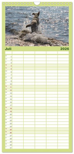 Produktbild: Familienplaner 2026 - Labrador Retriever 2026 mit 5 Spalten (Wandkalender, 21 x 45 cm) CALVENDO