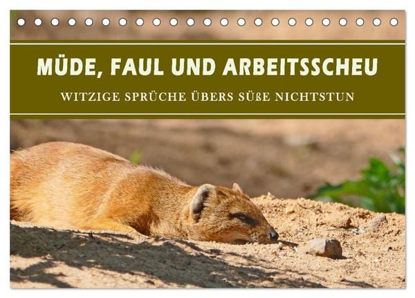 Produktbild: M&uuml;de, faul und arbeitsscheu (Tischkalender 2026 DIN A5 quer), CALVENDO Monatskalender