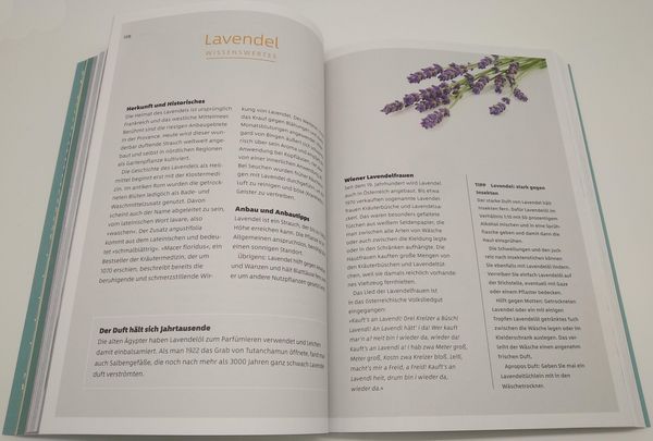 Produktbild: 10 Kr&auml;uter gegen 100 Krankheiten
