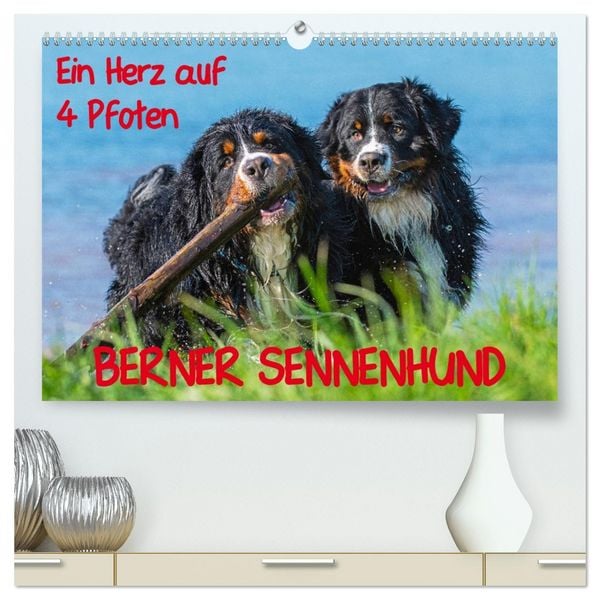 Produktbild: Ein Herz auf 4 Pfoten - Berner Sennenhund (hochwertiger Premium Wandkalender 2026 DIN A2 quer), Kunstdruck in Hochglanz