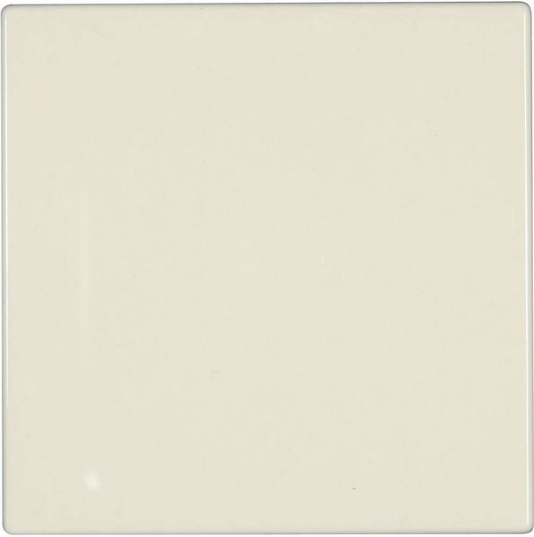 Produktbild: Jung Abdeckung Blindabdeckung LS 990, LS design, LS plus Creme-Wei&szlig; LS 994 B