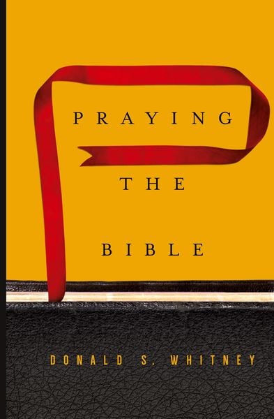 Produktbild: Praying the Bible