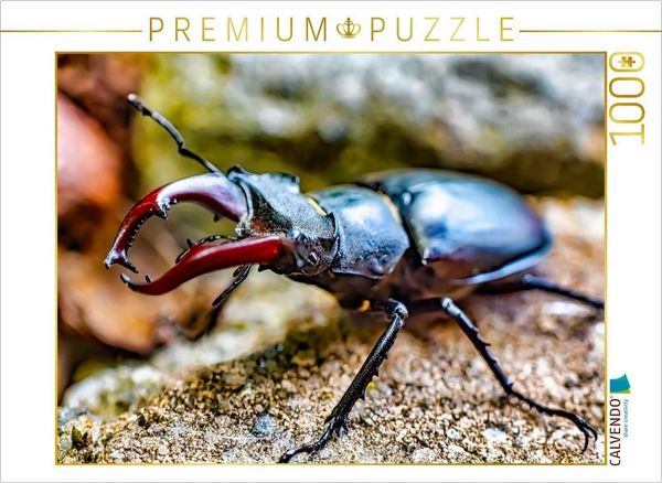 CALVENDO Puzzle Ein prachtvoller Hirschkäfer | 1000 Teile Lege-Größe 64x48cm Foto-Puzzle für glückliche Stunden