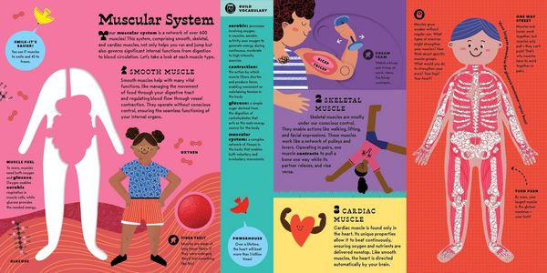 Produktbild: The Interactive Human Body