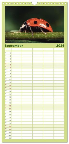 Produktbild: Familienplaner 2026 - Makrowelten Tierreich mit 5 Spalten (Wandkalender, 21 x 45 cm) CALVENDO