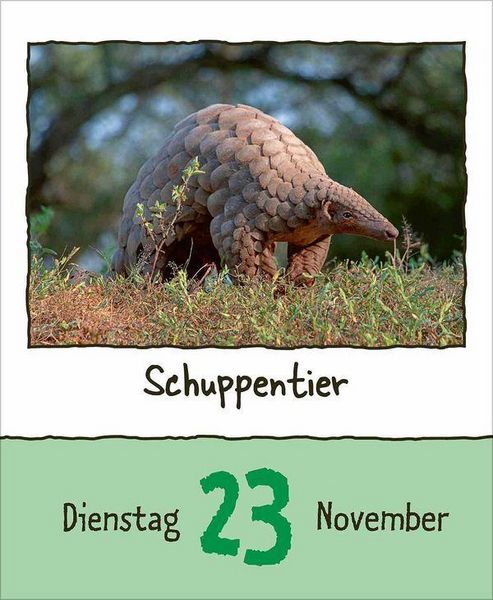 Produktbild: Tierisch unterwegs 2027