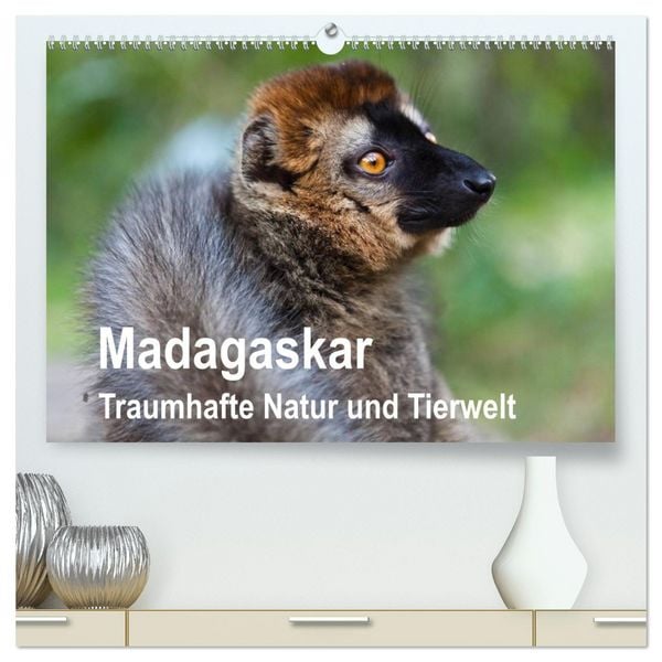 Produktbild: Madagaskar. Traumhafte Natur und Tierwelt (hochwertiger Premium Wandkalender 2026 DIN A2 quer), Kunstdruck in Hochglanz