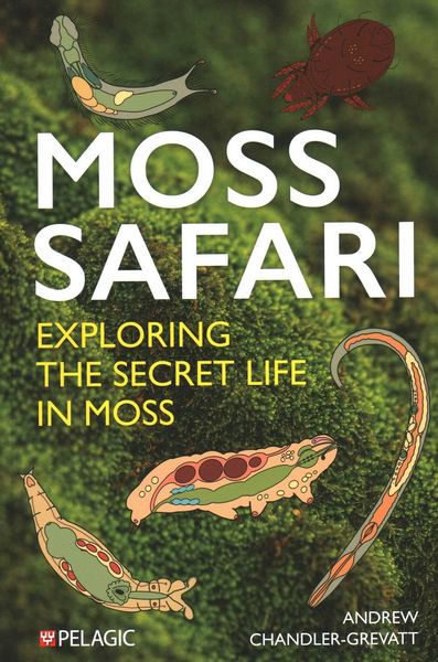 Produktbild: Moss Safari