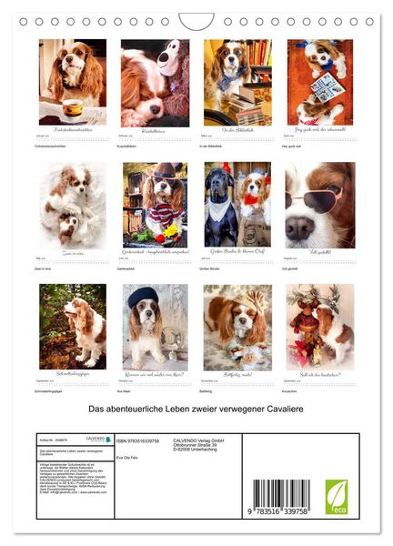 Produktbild: Das abenteuerliche Leben zweier verwegener Cavaliere (Wandkalender 2026 DIN A4 hoch), CALVENDO Monatskalender
