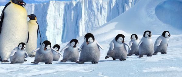 Produktbild: Happy Feet