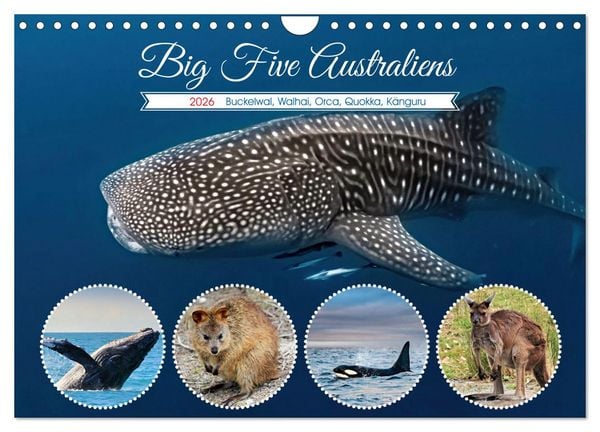 Produktbild: Big Five Australiens Buckelwal, Walhai, Orca, Quokka,K&auml;nguru (Wandkalender 2026 DIN A4 quer), CALVENDO Monatskalender