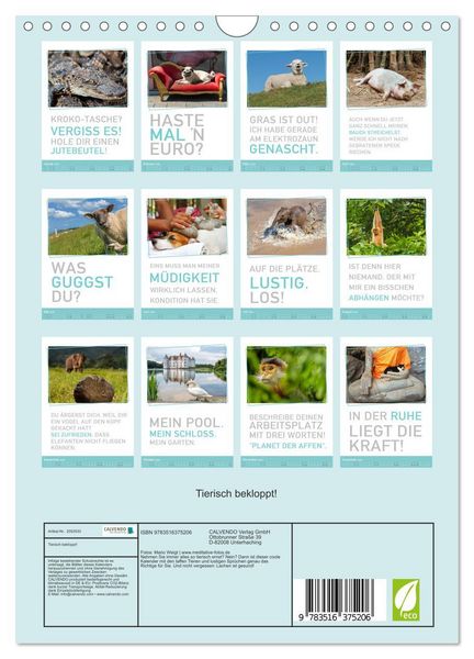 Produktbild: Tierisch bekloppt! (Wandkalender 2026 DIN A4 hoch), CALVENDO Monatskalender