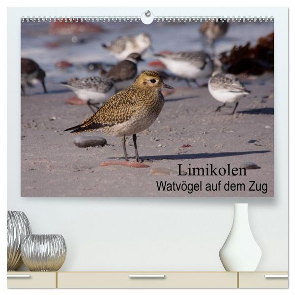 Produktbild: Limikolen Watv&ouml;gel auf dem Zug (hochwertiger Premium Wandkalender 2026 DIN A2 quer), Kunstdruck in Hochglanz