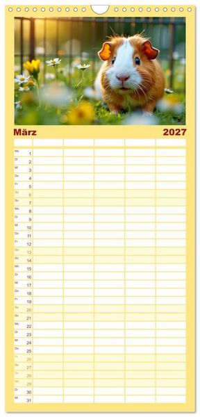 Produktbild: Familienplaner 2027 - S&uuml;&szlig;e Meerschweinchen mit 5 Spalten (Wandkalender, 21 x 45 cm) CALVENDO