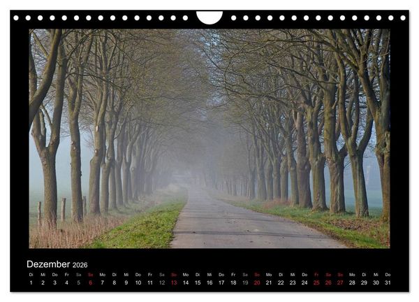 Produktbild: M&auml;rchenhafter Reinhardswald und Urwald Sababurg (Wandkalender 2026 DIN A4 quer), CALVENDO Monatskalender