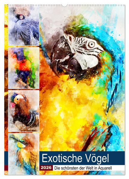 Exotische Vögel - Die Schönsten der Welt in Aquarell (Wandkalender 2026 DIN A2 hoch), CALVENDO Monatskalender
