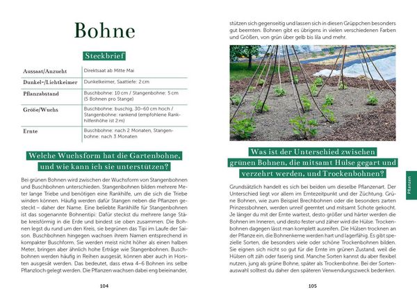 Produktbild: Das Gem&uuml;segarten 1 x 1